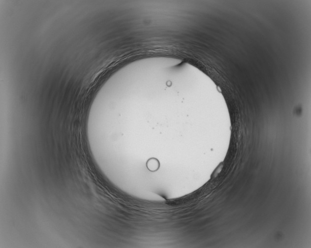 X0000116160595201001041116