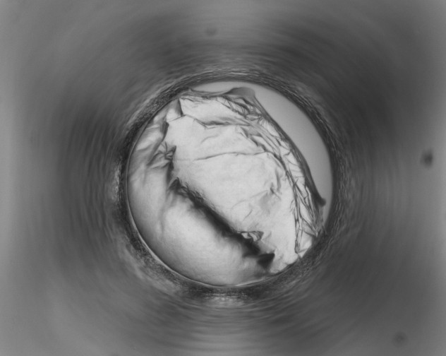 X0000116160596201001041116