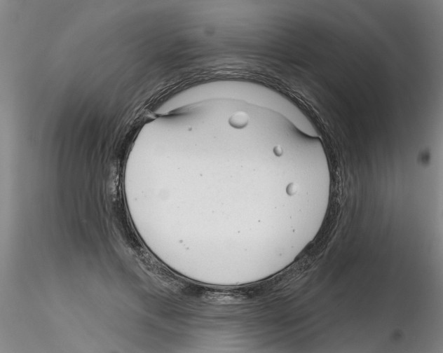 X0000116160597201001041116