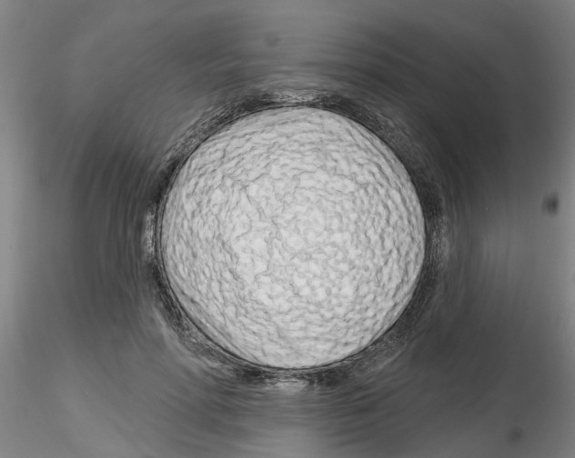 X0000116160598201001041116