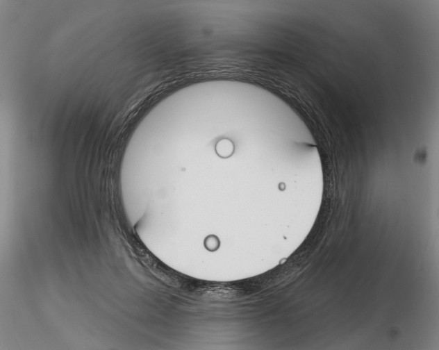 X0000116160599201001041116