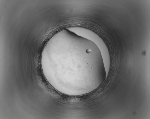 X0000116160600201001041116