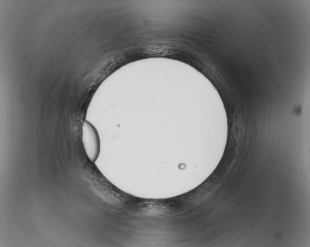 X0000116160601201001041116