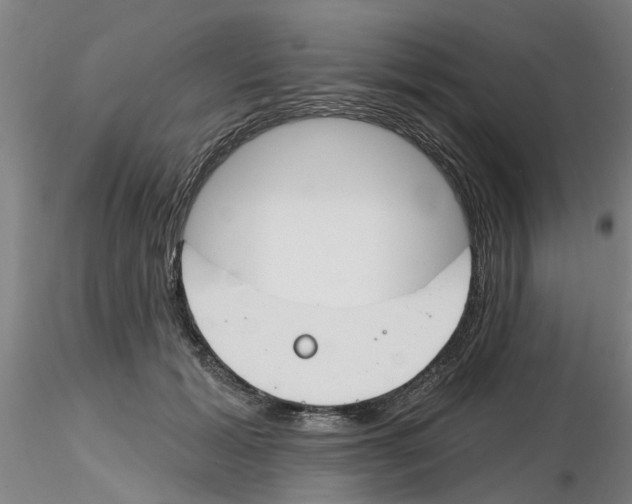 X0000116160605201001041116
