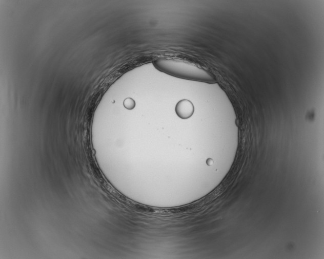 X0000116160608201001041116