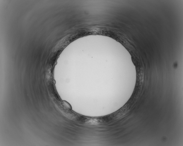 X0000116160611201001041116