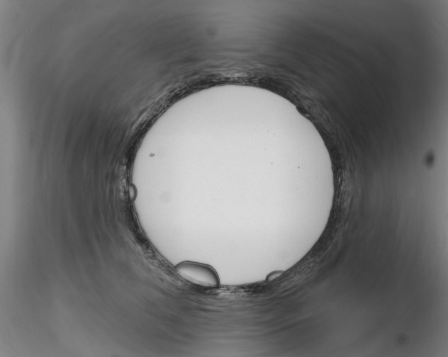 X0000116160612201001041116