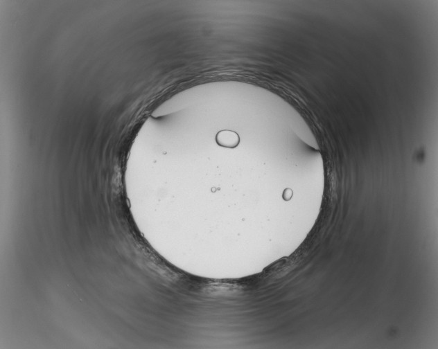 X0000116160617201001041115