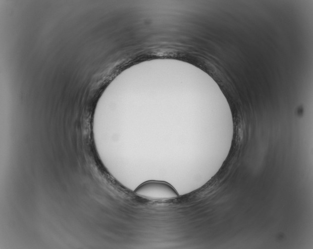 X0000116160620201001041115