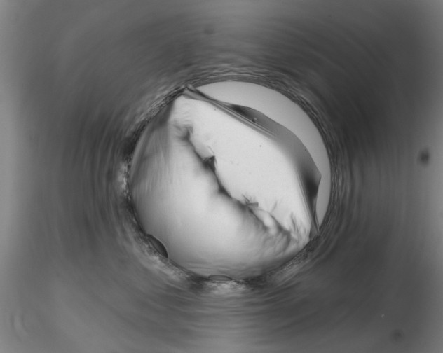 X0000116160621201001041115