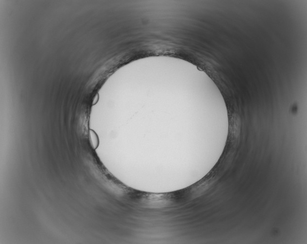 X0000116160622201001041115