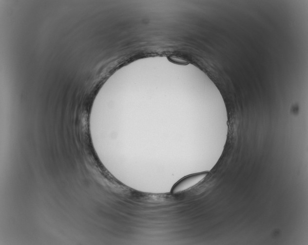 X0000116160623201001041115