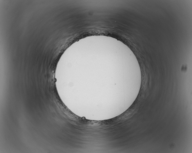 X0000116160624201001041115