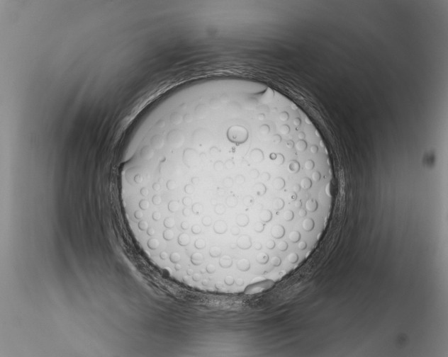 X0000116160626201001041115