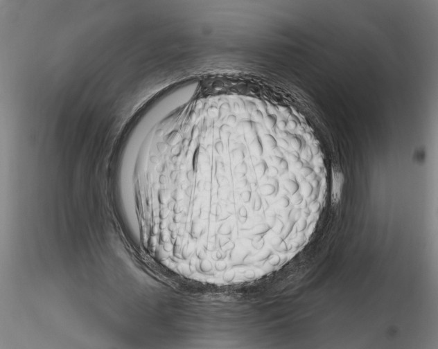 X0000116160627201001041115