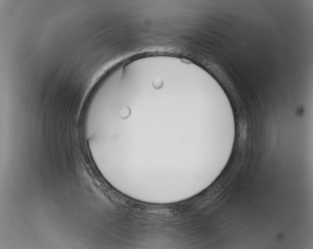 X0000116160628201001041115