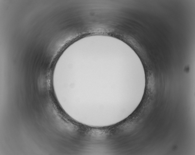 X0000116160632201001041115