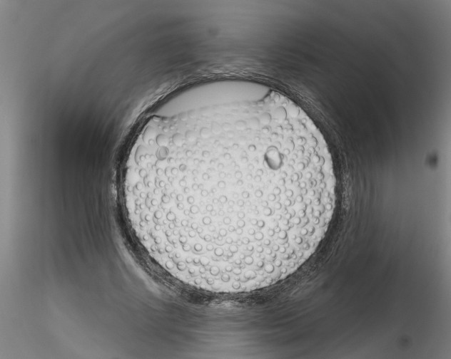 X0000116160634201001041115