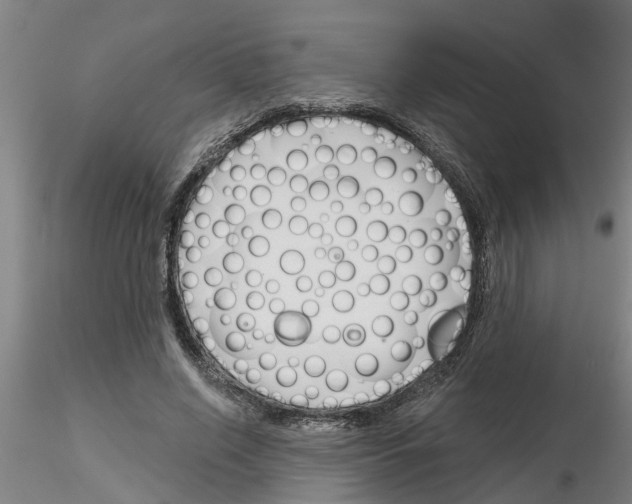 X0000116160638201001041115