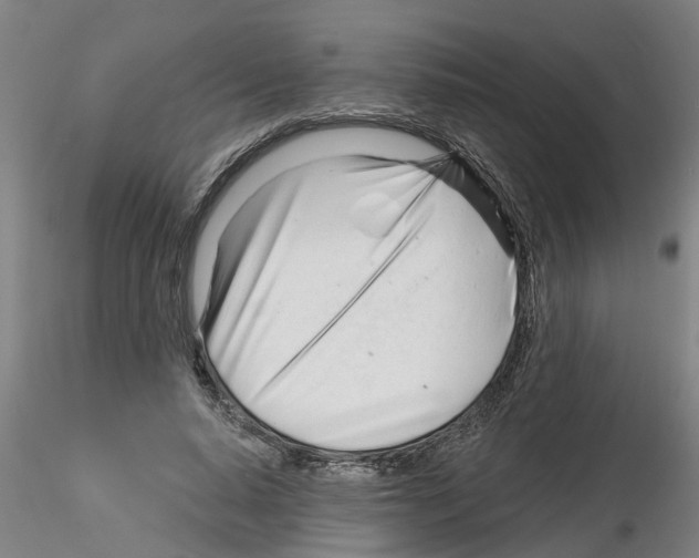 X0000116160640201001041115