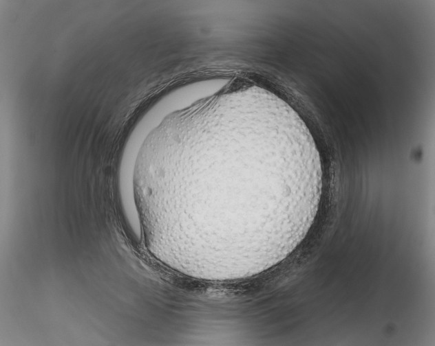 X0000116160641201001041115