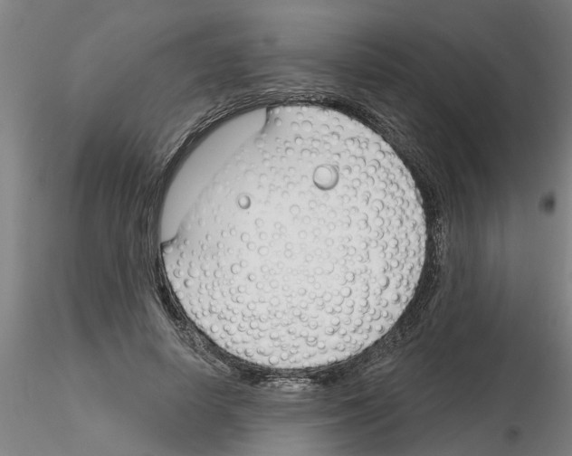 X0000116160642201001041115