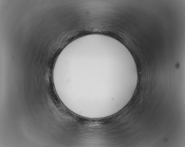 X0000116160643201001041115