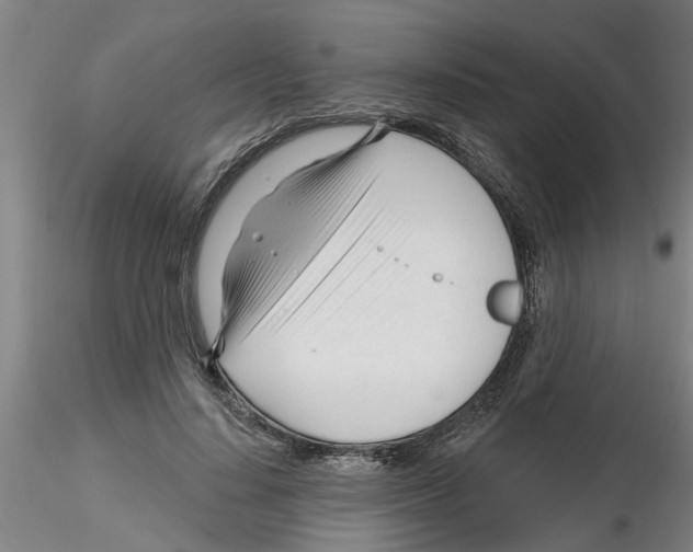 X0000116160644201001041115