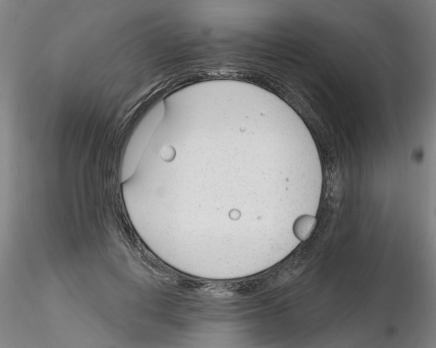 X0000116160648201001041115