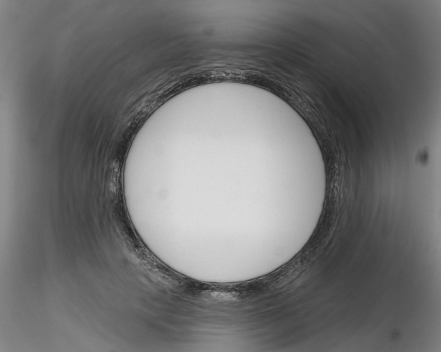 X0000116160649201001041115