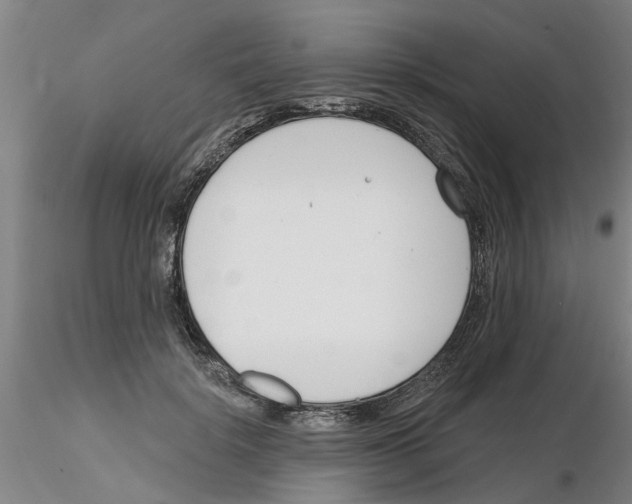 X0000116160652201001041115