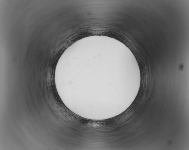 X0000116160655201001041115