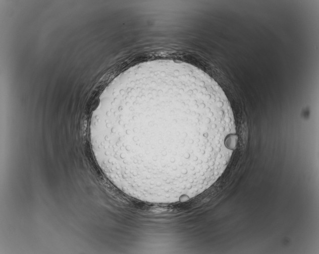 X0000116160657201001041115
