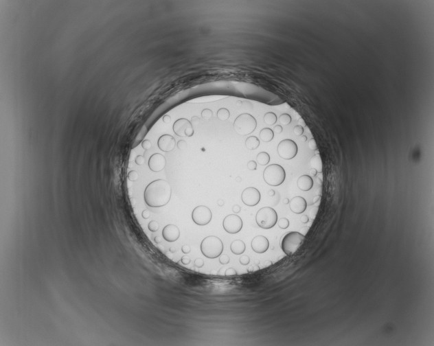 X0000116160662201001041115