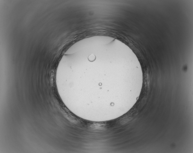 X0000116160664201001041115