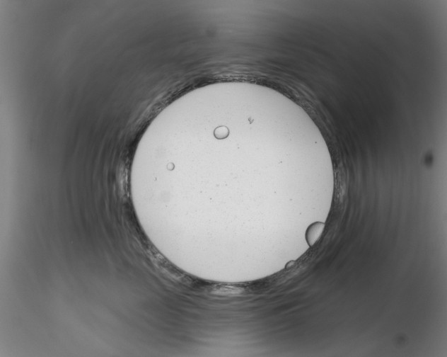 X0000116160669201001041115