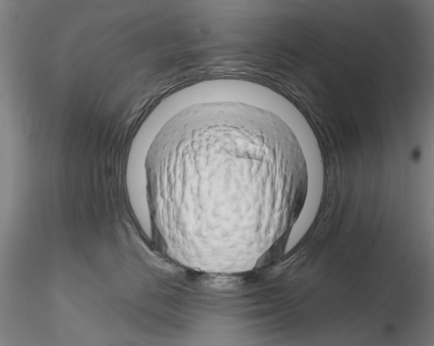 X0000116160670201001041115