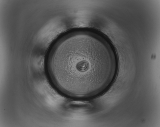 X0000116160672201001041115
