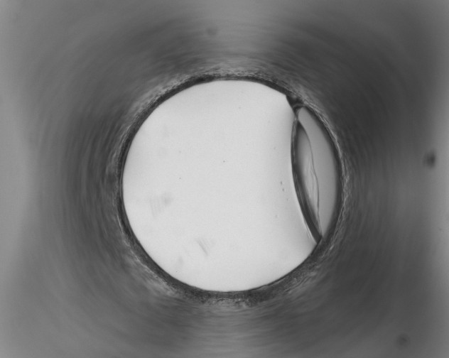X0000116160673201001041115