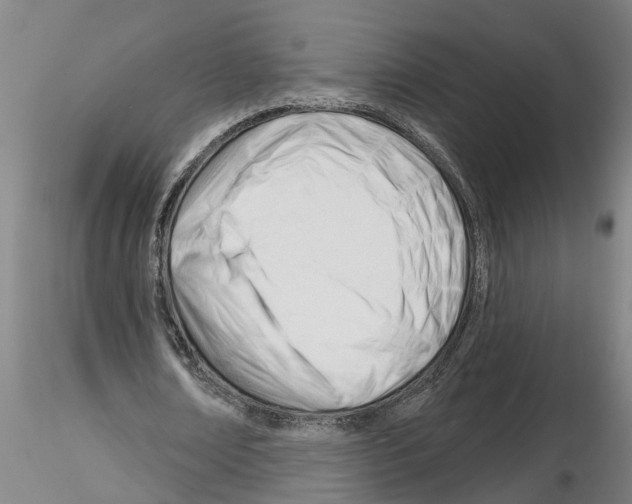 X0000116160674201001041115