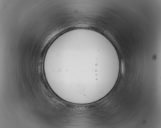 X0000116160675201001041115