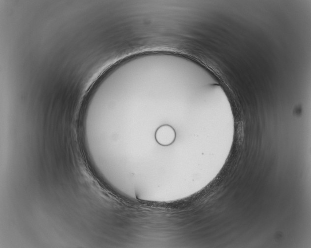 X0000116160676201001041115