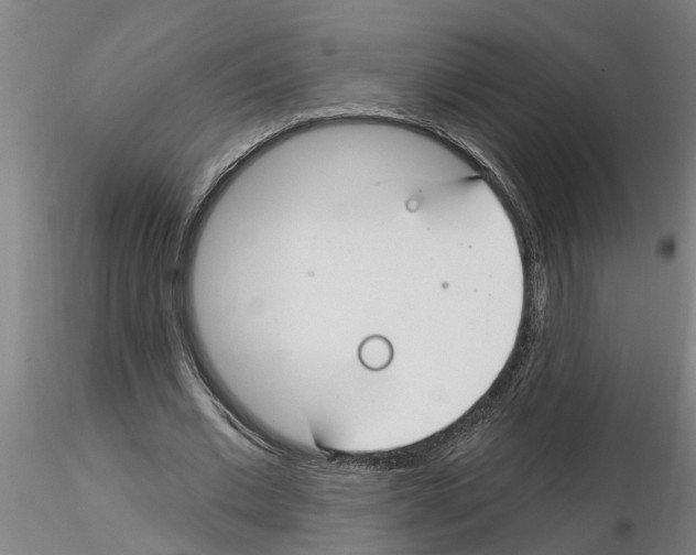 X0000116160677201001041115