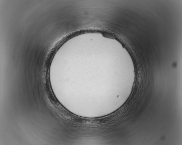 X0000116160680201001041115