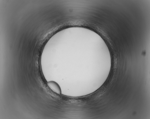 X0000116160681201001041115
