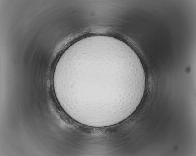 X0000116160682201001041115