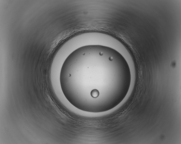 X0000116160685201001041115