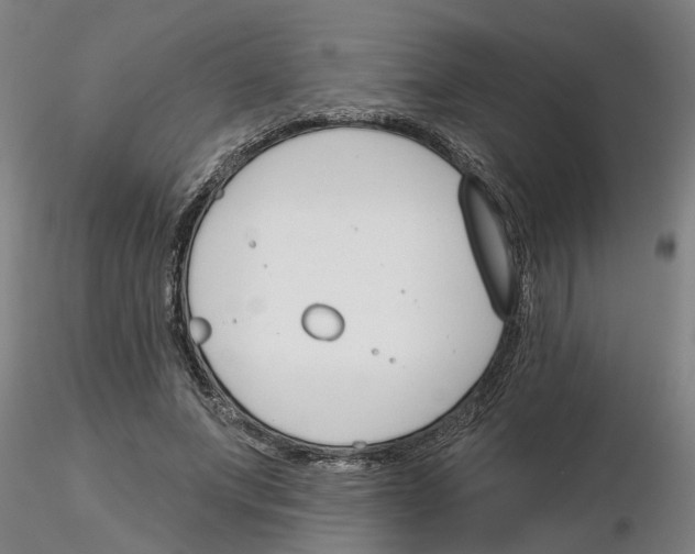 X0000116160687201001041114