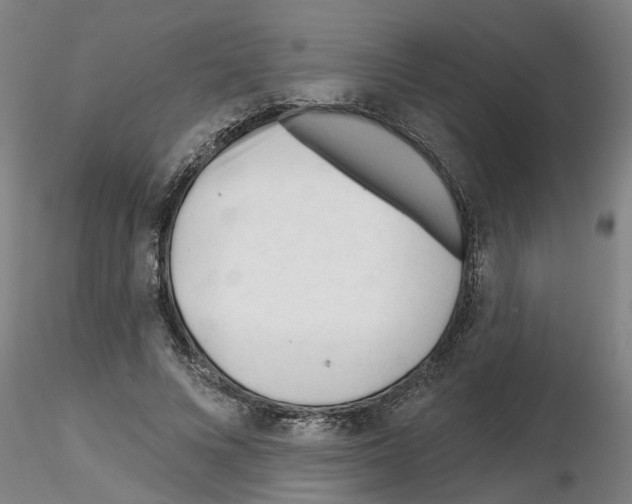 X0000116160688201001041114