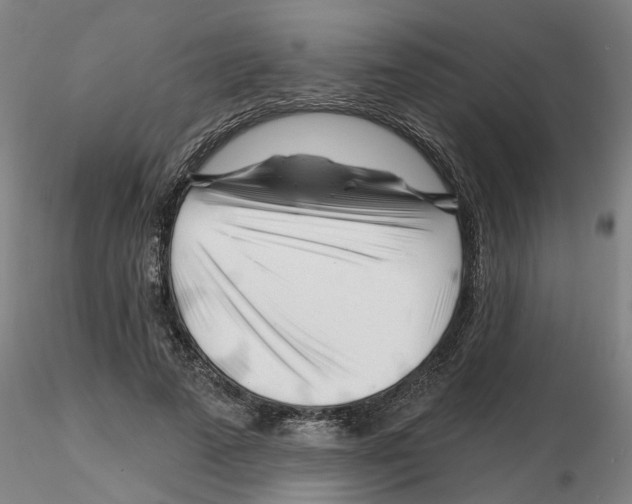 X0000116160689201001041114